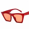 Occhiali da sole femminili vintage da donna moda cat eye occhiali da sole di lusso classici shopping lady neri UV400
