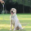Dog Collars Durable Nylon Pet P Chain For Medium Large Dogs Slip Training Lead Puppy Big Leash Collar Pug Traction Rope Mascotas Leashes