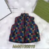 Kid Clothes 2023 Autumn/winter Double-sided Cotton Jacket and Vest Jacket for Warmth