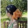 Acessórios de cabelo 1 pcs mulheres meninas doce clipe temperamento tecido bowknot bonito estudantes coreanos feminino rabo de cavalo clipes presente