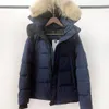 Heren Parka's Dames Ontwerpers Donsjacks Homme Winter Puffer Grote Bont Hoody Kleding Fourrure Letters Gedrukt Outwears