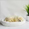 Simuleringsandning Dog Control Action Figures Batteri Mjuk fylld plysch Animal Ornament Girls Lover Children Gift 240124