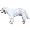 Vestuário para cães Labrador Golden Retriever Raincoat Impermeabilização All-Inclusive Quatro Pernas Desenhos Animados Grandes Roupas para Animais de Estimação