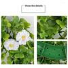 Dekoratif Çiçekler St Patricks Günü Yapay Çelenk Şans Shamrock Clover Daisy Çiçek Dekor İrlandalı İlkbahar Yaz Yeşillik Ev Malzemeleri