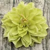 Finto floreale verde 10 pz / lotto grande artificiale dalia peonia testa di fiore 14 / 15 cm diametro fiori da sposa in seta parete festa decorativa per la casa YQ240125