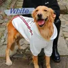 Одежда для собак, средний лабрадор, большая осенняя и зимняя одежда для больших бордер-колли, охранники с золотыми волосами