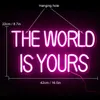 Insegna al neon a LED The World Is Yours Insegna al neon per la decorazione della parete della stanza Insegne al neon a LED USB per la festa di fidanzamento di nozze Kid Room Game Zone Decor YQ240126