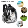 Poussettes Sac de porte-chat portable Breffe de compagnie de compagnie extérieur sac à épaule PORTABLE PORTABLE CAPSULE CAGE BACKPACK VOYAGE