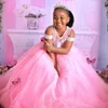 African Pink Flower Girl Dresses Sheer Neck Appliqued Lace Tiered Bow Tulle Flowergirl Dresses Princess Queen Girls Birthday Party Dress for Marriage F061