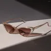 Gafas de sol 2024 Ojo de gato Moda Plástico Mujeres Vintage Pequeño Leopardo Hombres Gafas de sol Espejo Retro para mujer UV400