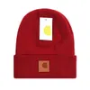 Gorros para hombre sombrero de invierno sombreros de ganso de diseño gorro para mujer gorra bonne Gorros de calavera Tejido acolchado cálido frío Moda X-19