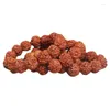 Strand 5 Mukhi Rudraksha Bodhi Beads Bracelet Nepal Jingang Pipal Tree Seed