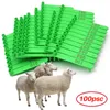 Accessoires 100 Stuks Dier Schapen Geit Oormerk Tang Oor Laser Typen Plastic Hoofd Oorbellen Voor Boerderij Dieren Identificatiekaart