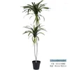 Simulation de fleurs décoratives, plante verte Dracaena marginata bionique colorée, queue de cheval, barbe de Dragon, faux arbres d'intérieur en pot