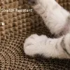 Scratchers Cat Scratcher Cat Nest Board Lounge Bed Chats Formation Griffe De Meulage Jouets pour Aiguiser Les Ongles Grattoir Chats Scratch Board Lit Pour Animaux De Compagnie