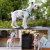 Harnassen Hondentuig voor kleine honden Roze prints Zacht gevoerd huisdier borstvest NonChoke Designer Puppy harnas Leash Set Kat Hond Accessoires