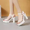 Sandalen Modischer Keil für Frauen 2024 Sommer Casual Gladiator Elegante klassische dicke Ferse Party Schuhe Gummi