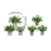 Decorative Flowers 3pcs Set Beauty Of Nature Indoors With Artificial Small Eucalyptus Plants Low Maintenance Realistic