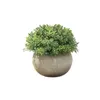 Fiori decorativi ornamenti bonsai albero ecologico ecologico camera da letto a misura di pelle ABS piante artificiali finti jh3423