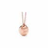 Designermerk A Niche Tiffays 925 Sterling Silver Gold-Patived Round Ball Pendant ketting met een bolvormige modieuze stijl en familiekraagketen