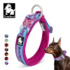 Collars Truelove Embroider Neoprene Pet Dog Collar Nylon Adjustable Dog Collars For Big Small Dogs Running Reflective Chihuahua Bitpulls