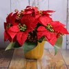 Decorative Flowers Artificial Poinsettia Plant Potted Red Flower For Festival Indoor Table Centerpiece Garden Tabletop