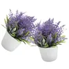 Dekorative Blumen, 2 Stück, künstliche Pflanze, Lavendel, gefälschte Dekore, Zimmerpflanzen, falsche Ornamente, Desktop