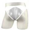 Calzoncillos sexy para hombre de malla transparente de talle bajo bikini calzoncillos ropa interior traje de baño lencería bragas tamaño libre ver a través del tema clásico