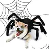 Hundkläder Halloween Costume Spider Pets Outfits Cosplay Dress Up Accessories Decoration For S Puppy Cats 220930 Drop Delivery DHHXC