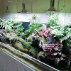 Belysningar 220V 20W/40W Fish Tank Aquarium LED Lätt Aquatic Water Grass Plant Growth Lamp Turtle Reptile Lighting Clipon Ny