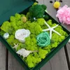 Flores decorativas 20/40g plantas verdes artificiais vida eterna musgo grama falsa casa jardim parede diy micro paisagem acessórios