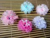 Dog Apparel Solid Crown Pet Hair Ornament Mesh Pearl Baby Clip Princess Accessoriesv 10pcs