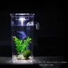 Tanks Lazy Mini Fish Tank Aquarium Small Goldfish Bowl Square Ecological Fishbowl Rransparen Turtle Tank Aquarium Supplies