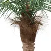 Dekorativa blommor stora konstgjorda kokosnöt träd palm falska träd grön växt bonsai inomhus tropiskt golv krukut rum kontor trädgård hem