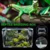 Terrario REPILE Caja de reproducción de reptiles Tanque de reptiles acrílico Insecto Terrario Insecto Lizard Frog Frog Cricket Tortuga de tortuga Dropputa