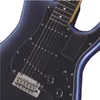 Professional II S T (Dark Night Rosewood) Guitar