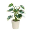 Decorative Flowers Simulation Green Plant Bonsai Lifelike Artificial Potted Plants For Home Indoor Room Office Decoration