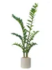 Fiori decorativi Simulazione Pianta verde Zamioculcas Foglie Piante simulate per interni Paesaggio accanto al pavimento del divano Bonsai