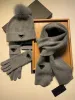 Designers premium varm stickad hatt halsduk handskar 3sets för män kvinnor vinter sjal designer ull hatt halsduk hawaiian halsduk hatt handskar uppsättning låda som present g241301pe-3