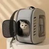 Taschen Pet Cat Carrier Rucksack atmungsaktives Katzenweg Outdoor -Umhängetasche für kleine Hunde Katzen tragbare Verpackung faltbare Haustiervorräte