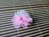 Dog Apparel Solid Crown Pet Hair Ornament Mesh Pearl Baby Clip Princess Accessoriesv 10pcs