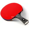 Tibhar Table Tennis Racket 6789 Star Sticky Rubbersin Professional Hight Quality Original Ping Pong Bat 240122