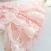 Apparel Cute Lace Dog Dress Summer Pet Clothes Small Dog Clothing Wedding Dresses Cat Yorkshire Pomeranian Poodle Schnauzer Costume