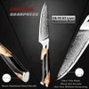 Couteau d'office de chef 3,5 pouces Couteau de cuisine Damas VG10 Super Steel 67Layer Razor Sharp Couteau à fruits Awesome Edge Retention 240118