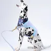Collari per cani Guinzaglio portatile Pettorina per cuccioli Accessorio per animali domestici Velluto a coste resistente per cani di grossa taglia