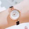 Womens Fashion Casual Simple Retro Large Dial Thin Belt Waterproof Quartz Watch Montre de Luxe Gifts A1