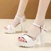 Sandaler Kvinnor Crystal High Heels Summer Platform Chunky Shoes 2024 Beach Flip Flops Luxury Peep Toe Slippers Pumps Mujer Slides