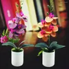 Dekorative Blumen Simulation Bonsai Farbfast gefälschter PVC Realistisch ausgezeichnete schöne Desktop -Schmetterlingsorchidee