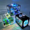 Aquariums aquarium mini pêche à poisson reptile à lad la lumière LED LUMIÈRE EMPLAPIBLE Aquarium Cylindre paysage marin pour décoration du bureau à domicile