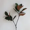 Fiori decorativi finto tocco naturale ramo di foglie di magnolia - pianta artificiale verde di alta qualità ufficio fai da te/matrimonio/decorazione domestica/regali per